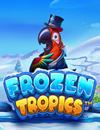 รีวิวเว็บ cj chudjen bet สวรรค์ของนักปั่นสล็อต